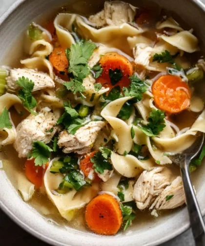 Hairy Bikers Chicken Noodle Soup Recipe
